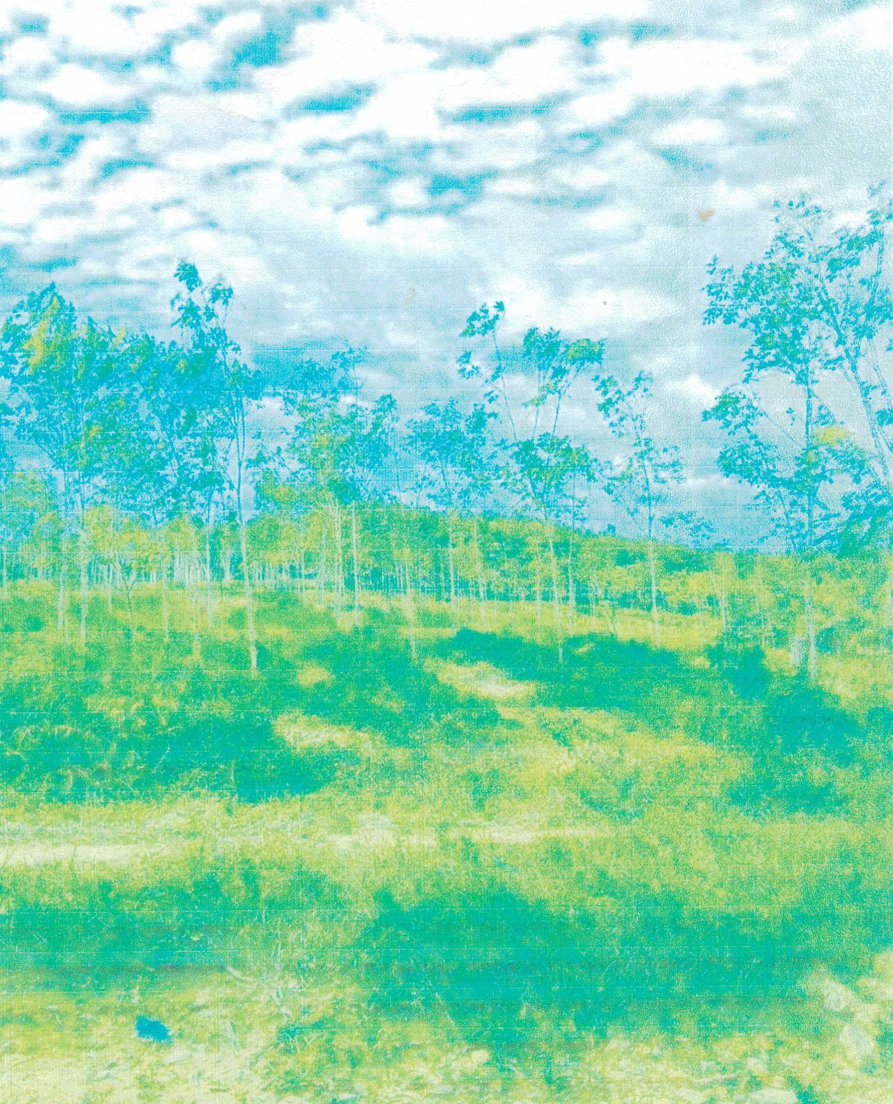 รูปที่ดินว่างเปล่า บ้านนิคม บางขัน นครศรีธรรมราช