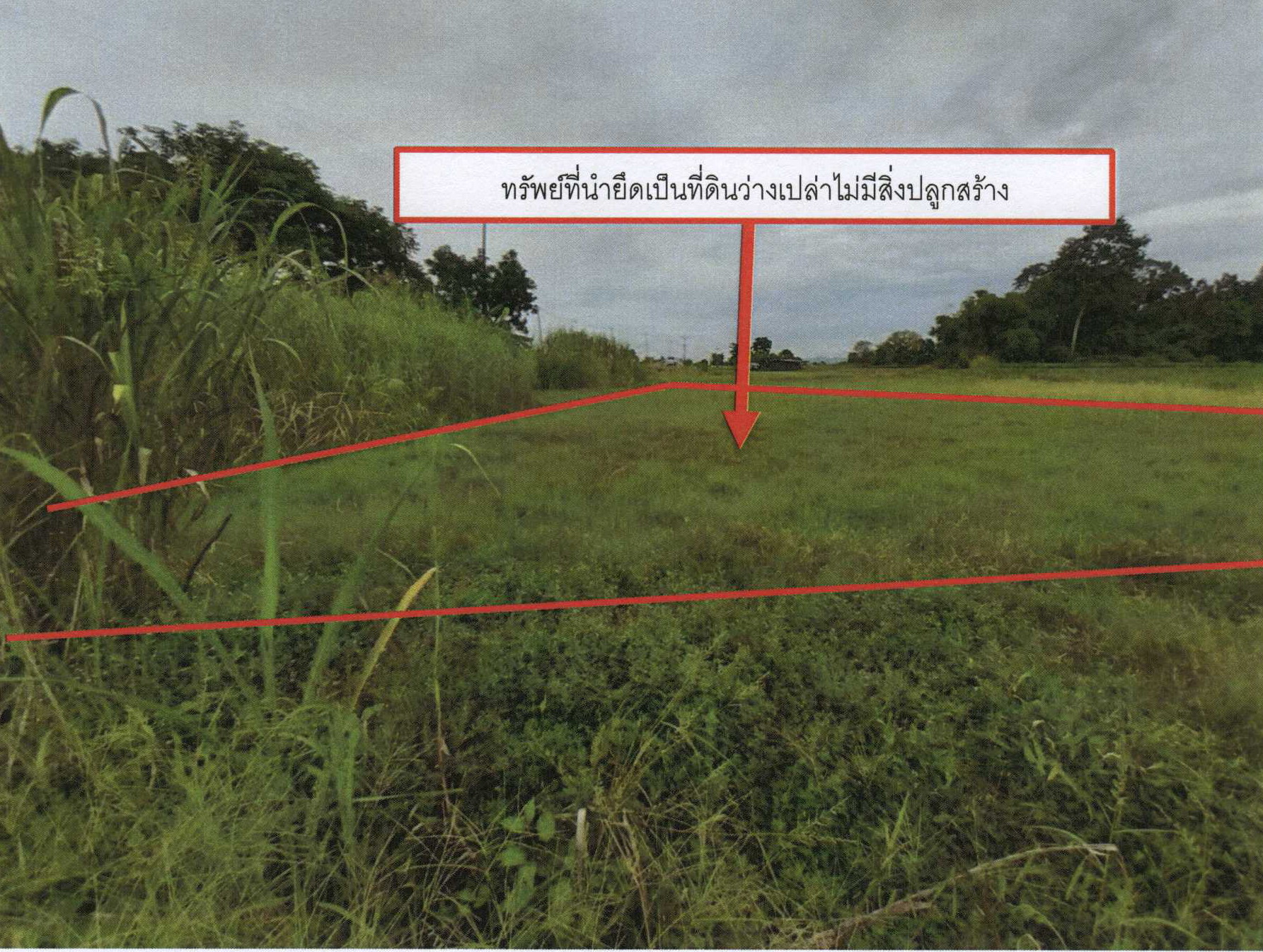 รูปที่ดินว่างเปล่า โกรกพระ โกรกพระ นครสวรรค์