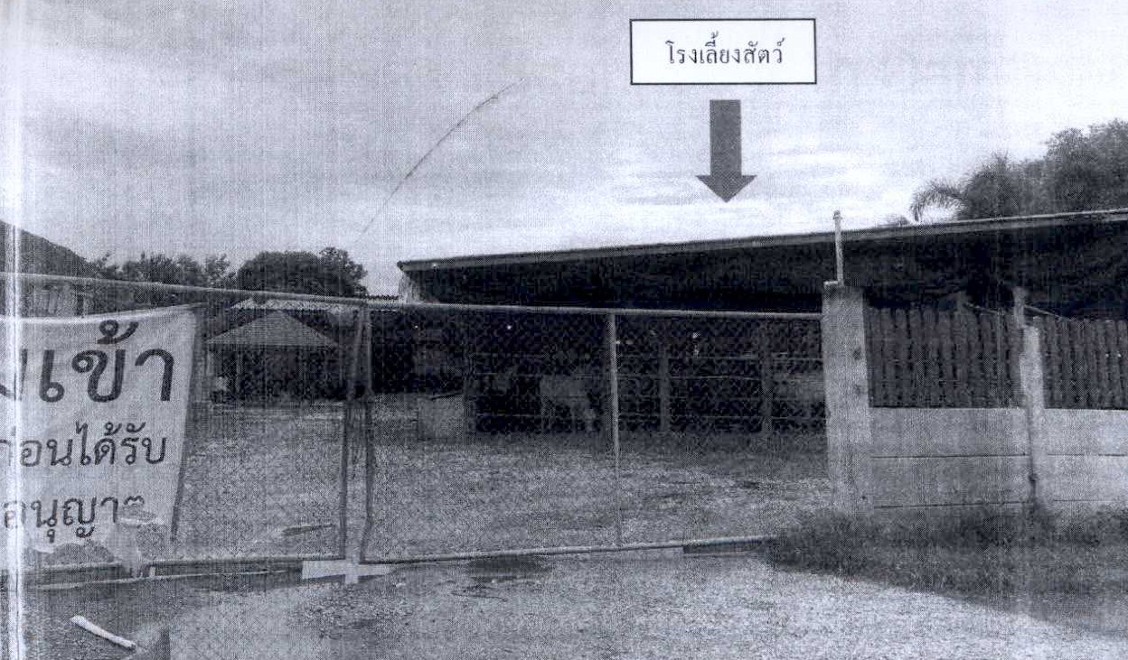 รูปที่ดินพร้อมสิ่งปลูกสร้าง ท่าคอย ท่ายาง เพชรบุรี