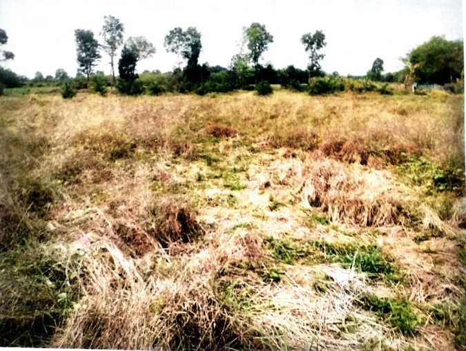 รูปที่ดินว่างเปล่า บ้านม่วง บ้านดุง อุดรธานี