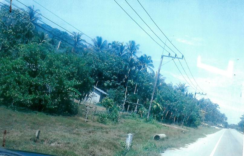 รูปที่ดินพร้อมสิ่งปลูกสร้าง บาเระเหนือ บาเจาะ นราธิวาส