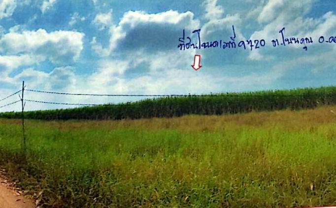 รูปที่ดินว่างเปล่า โนนคูณ คอนสาร ชัยภูมิ