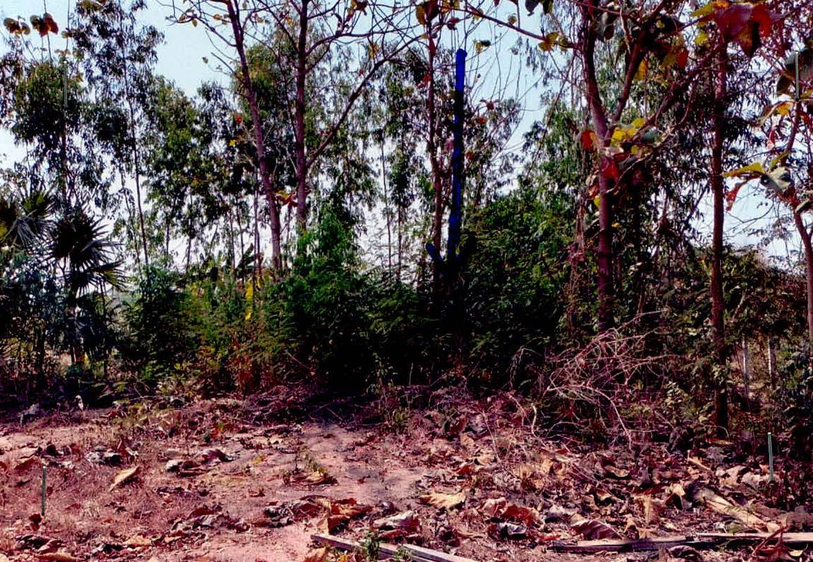 รูปที่ดินว่างเปล่า วังหามแห ขาณุวรลักษบุรี กำแพงเพชร