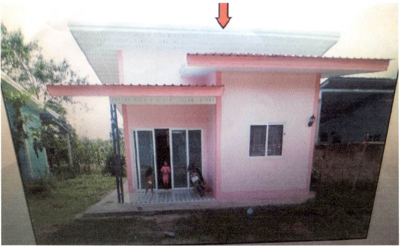 รูปที่ดินพร้อมสิ่งปลูกสร้าง ปกาสัย เหนือคลอง กระบี่