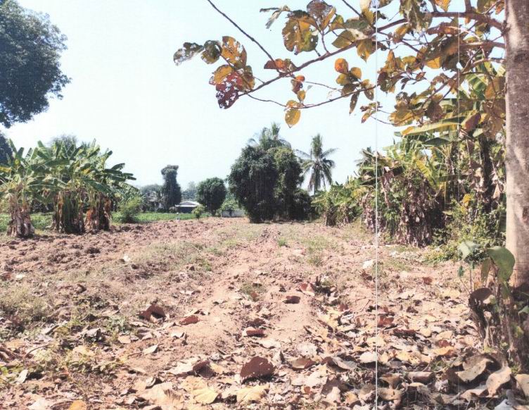 รูปที่ดินว่างเปล่า ทรงธรรม เมืองกำแพงเพชร กำแพงเพชร