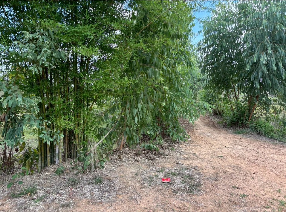 รูปที่ดินว่างเปล่า ดู่ทุ่ง เมืองยโสธร ยโสธร