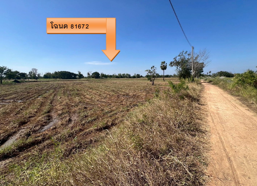 รูปที่ดินว่างเปล่า หนองนาแซง เมืองชัยภูมิ ชัยภูมิ