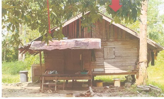 รูปที่ดินพร้อมสิ่งปลูกสร้าง โพรงจรเข้ ย่านตาขาว ตรัง