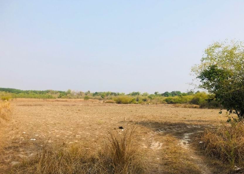รูปที่ดินว่างเปล่า โนนสะอาด บ้านม่วง สกลนคร