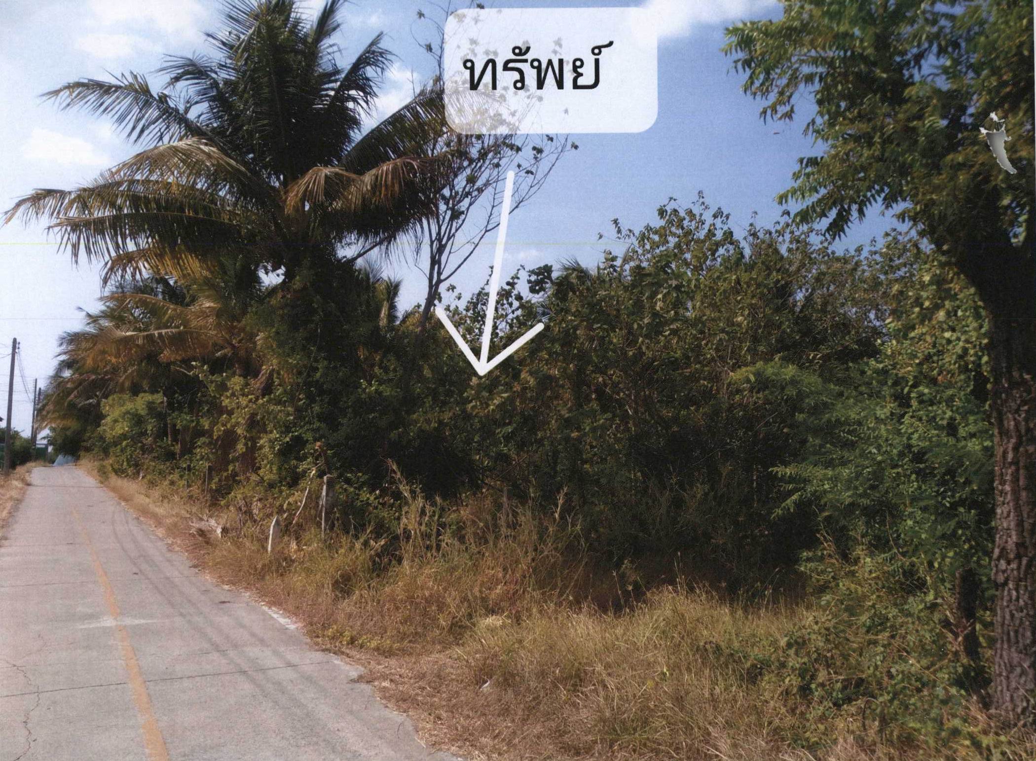 รูปที่ดินว่างเปล่า พุกร่าง พระพุทธบาท สระบุรี