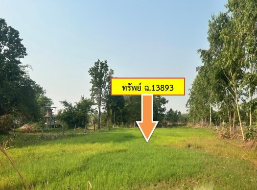 รูปที่ดินว่างเปล่า ผาเสวย สมเด็จ กาฬสินธุ์