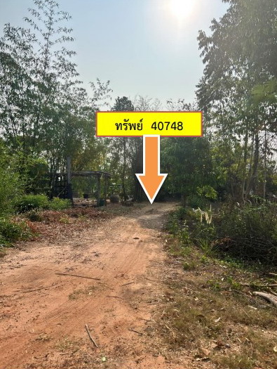 รูปที่ดินว่างเปล่า ศรีสมเด็จ สมเด็จ กาฬสินธุ์