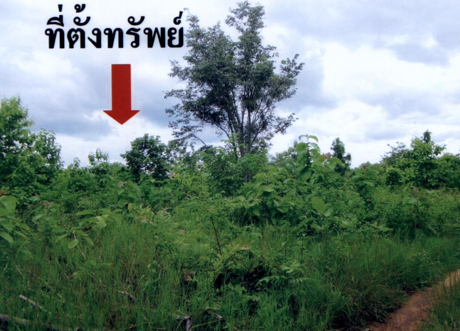 รูปที่ดินว่างเปล่า ทุ่งงาม เสริมงาม ลำปาง