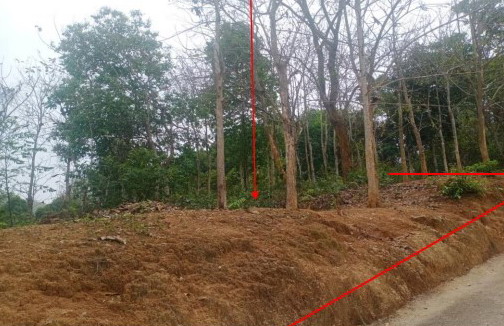 รูปที่ดินว่างเปล่า ท่าข้าวเปลือก แม่จัน เชียงราย