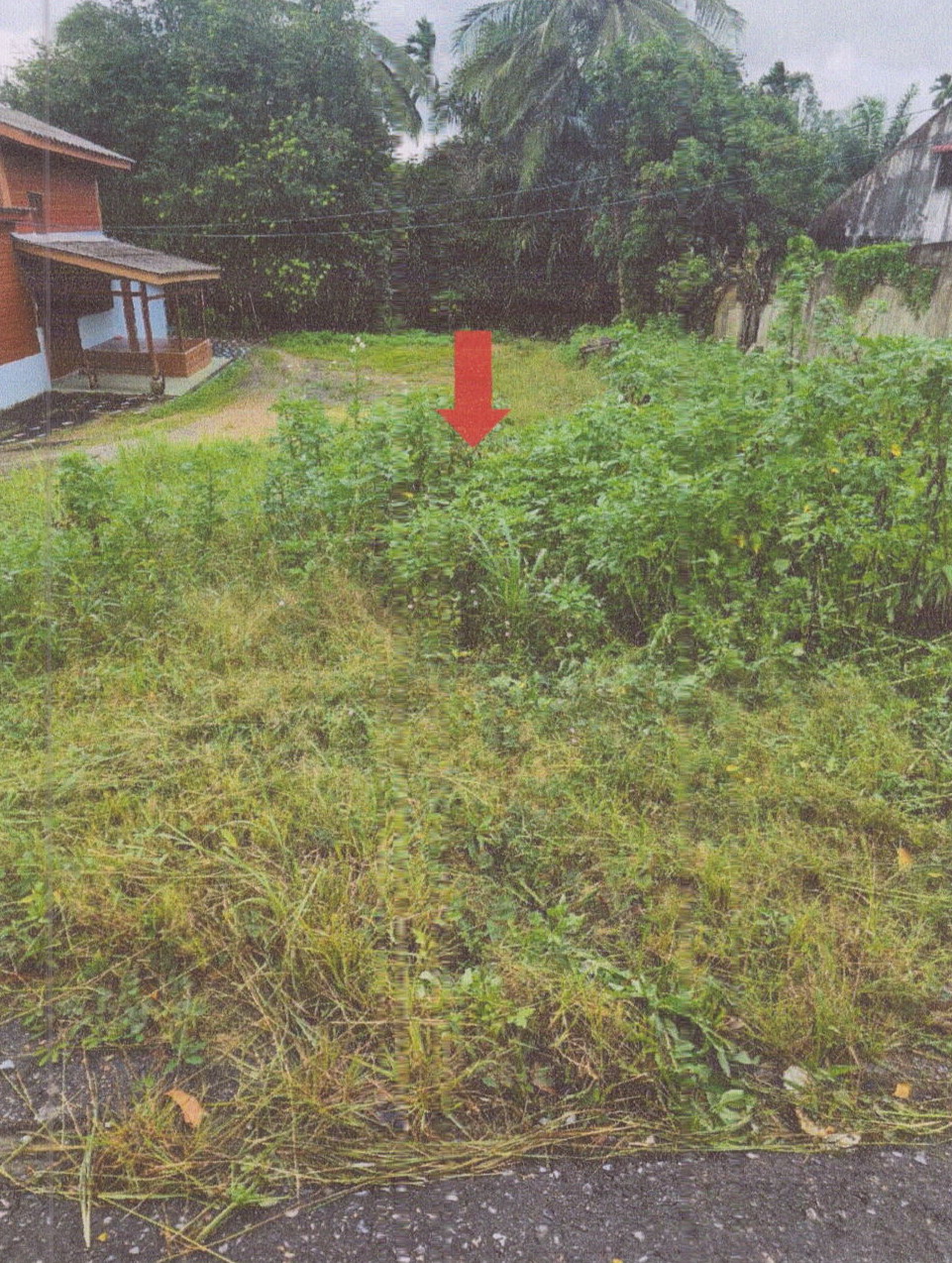 รูปที่ดินว่างเปล่า เขาพระ รัตภูมิ สงขลา