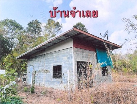 รูปที่ดินพร้อมสิ่งปลูกสร้าง กุดกุง คำเขื่อนแก้ว ยโสธร