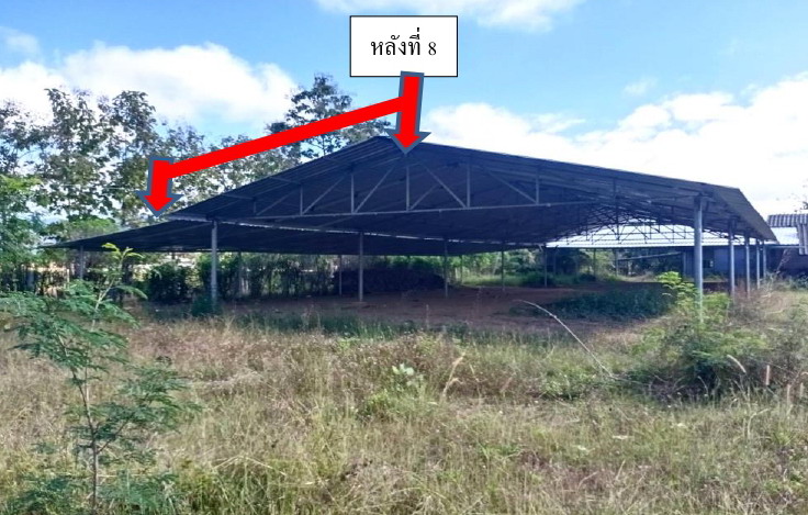 รูปที่ดินพร้อมสิ่งปลูกสร้าง ดงสุวรรณ ดอกคำใต้ พะเยา