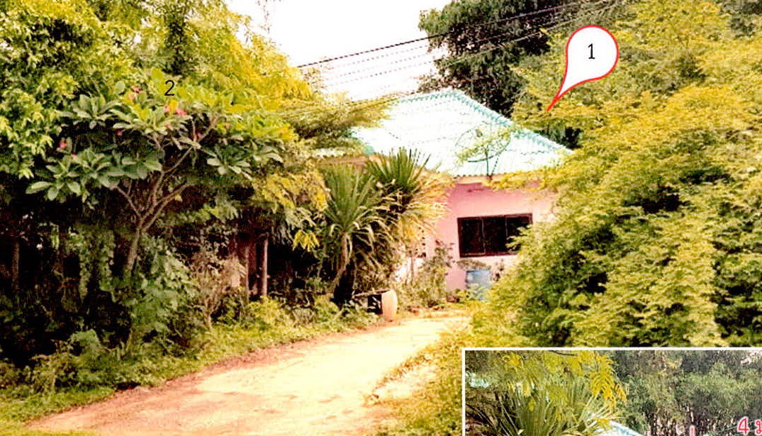 รูปที่ดินพร้อมสิ่งปลูกสร้าง บ้านพลวง ปราสาท สุรินทร์