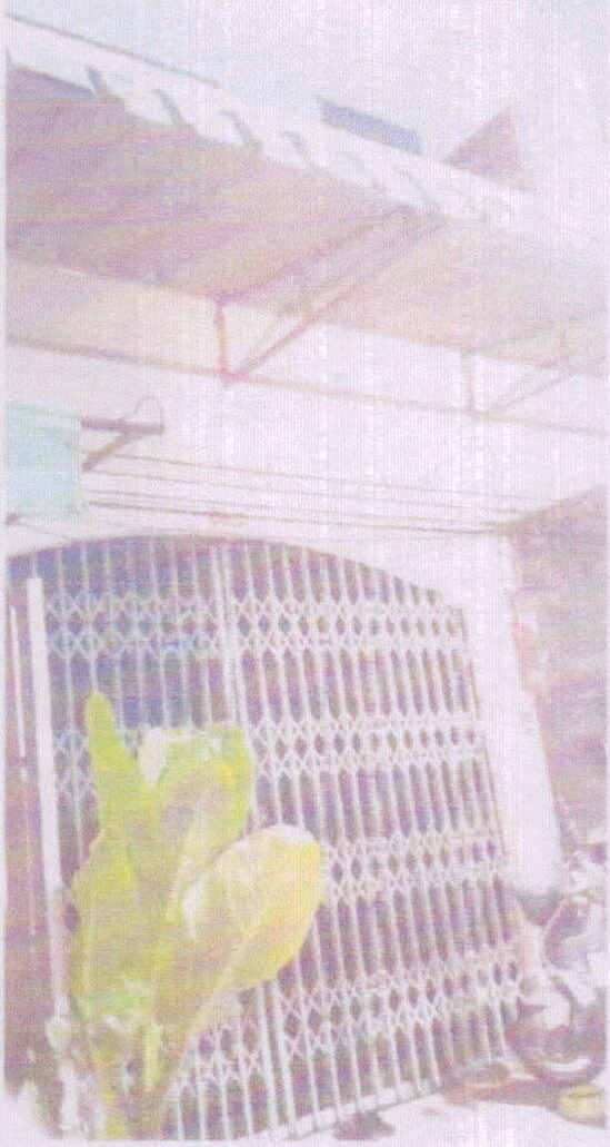 รูปที่ดินพร้อมสิ่งปลูกสร้าง คลองแห หาดใหญ่ สงขลา