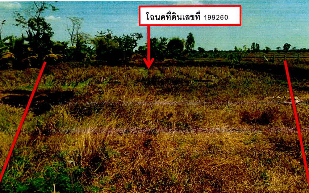 รูปที่ดินว่างเปล่า นาดี เมืองสุรินทร์ สุรินทร์