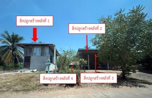 รูปที่ดินพร้อมสิ่งปลูกสร้าง ดงประคำ พรหมพิราม พิษณุโลก
