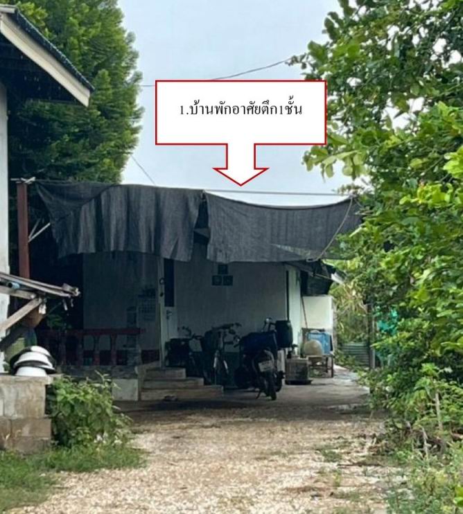 รูปที่ดินพร้อมสิ่งปลูกสร้าง ท่าขุนราม เมืองกำแพงเพชร กำแพงเพชร