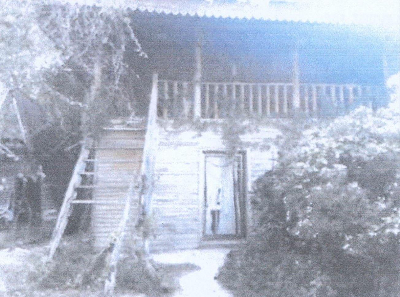 รูปที่ดินพร้อมสิ่งปลูกสร้าง โพทะเล โพทะเล พิจิตร