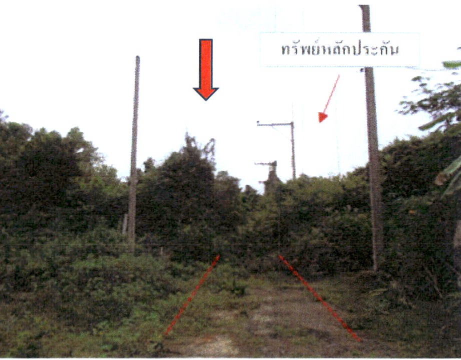 รูปที่ดินว่างเปล่า คลองทราย นาทวี สงขลา