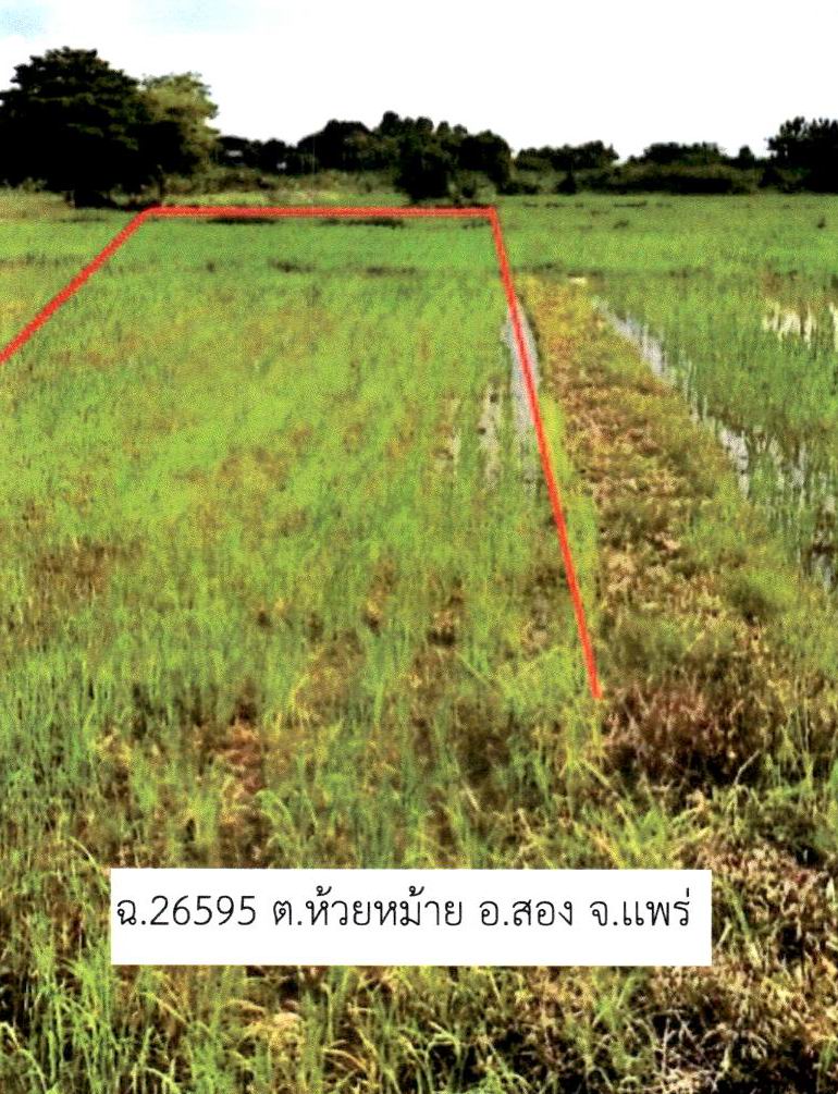 รูปที่ดินว่างเปล่า ห้วยหม้าย สอง แพร่