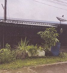 รูปที่ดินพร้อมสิ่งปลูกสร้าง ไม้ฝาด สิเกา ตรัง