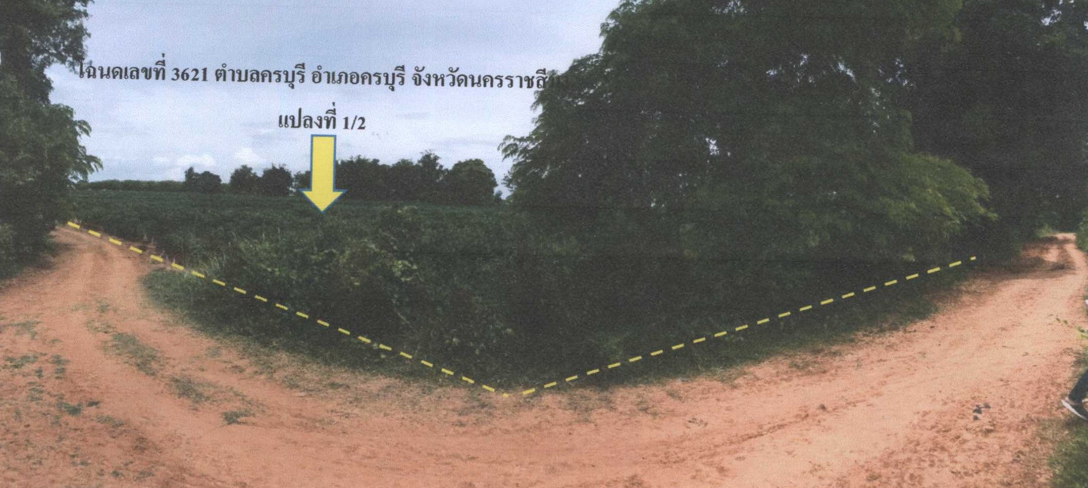 รูปที่ดินว่างเปล่า ครบุรี ครบุรี นครราชสีมา
