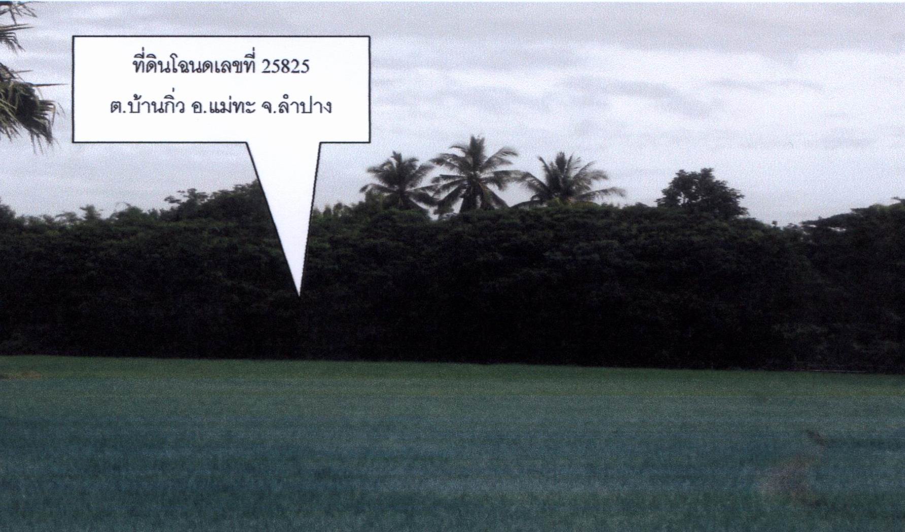 รูปที่ดินว่างเปล่า บ้านกิ่ว แม่ทะ ลำปาง