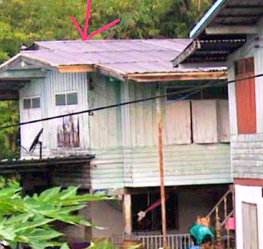 รูปที่ดินพร้อมสิ่งปลูกสร้าง ไผ่หลวง ตะพานหิน พิจิตร