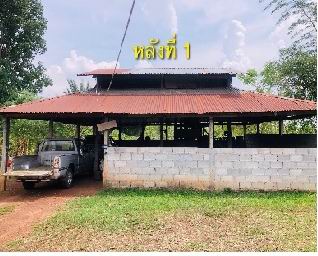 รูปที่ดินพร้อมสิ่งปลูกสร้าง เจริญศิลป์ เจริญศิลป์ สกลนคร