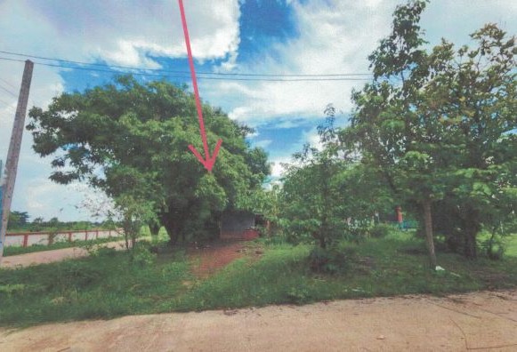 รูปที่ดินพร้อมสิ่งปลูกสร้าง หนองไผ่ หนองหาน อุดรธานี