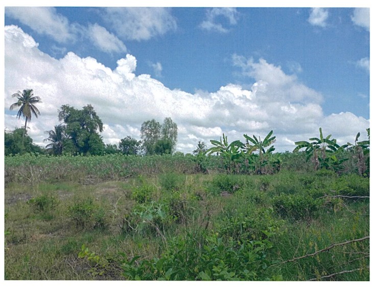 รูปที่ดินว่างเปล่า วังแขม คลองขลุง กำแพงเพชร