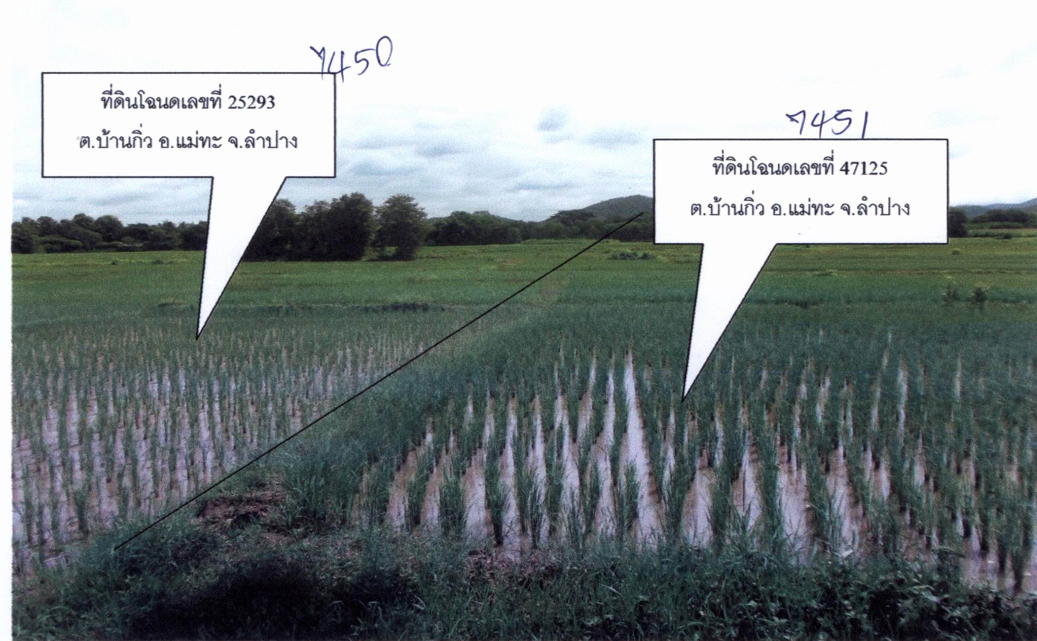 รูปที่ดินว่างเปล่า บ้านกิ่ว แม่ทะ ลำปาง