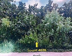 รูปที่ดินว่างเปล่า ตองโขบ โคกศรีสุพรรณ สกลนคร