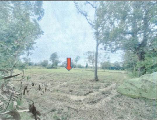 รูปที่ดินว่างเปล่า ท่าลาด เรณูนคร นครพนม