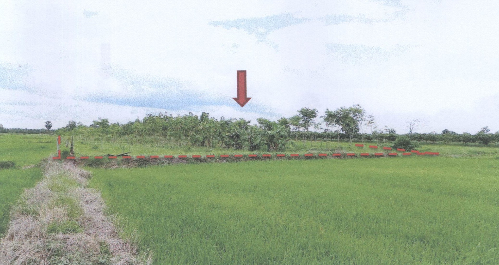 รูปที่ดินว่างเปล่า ท่าเยี่ยม สากเหล็ก พิจิตร