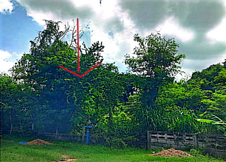 รูปที่ดินว่างเปล่า ท่าสองคอน เมืองมหาสารคาม มหาสารคาม