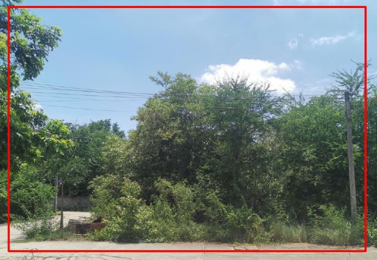รูปที่ดินว่างเปล่า หมื่นไวย เมืองนครราชสีมา นครราชสีมา