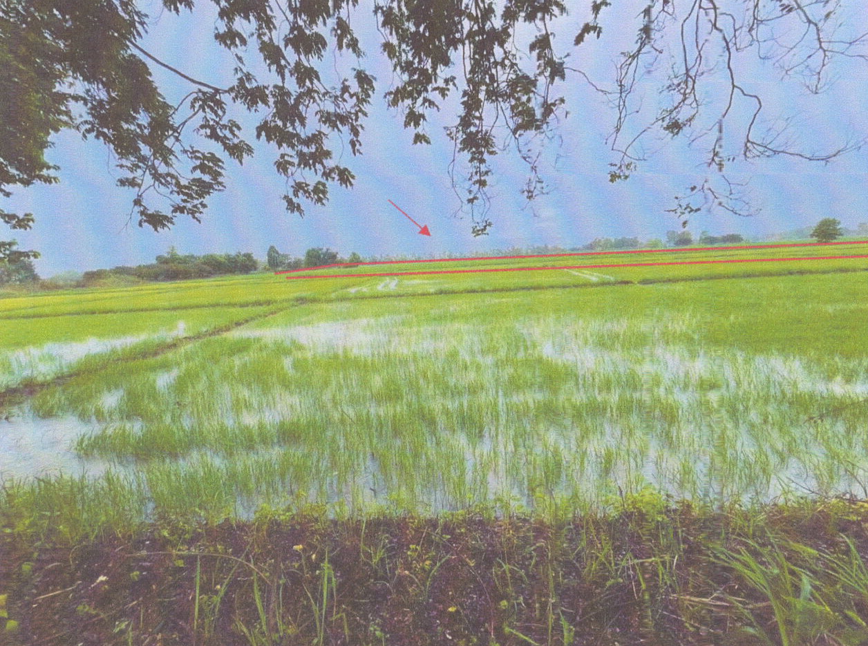 รูปที่ดินว่างเปล่า หัวง้ม พาน เชียงราย