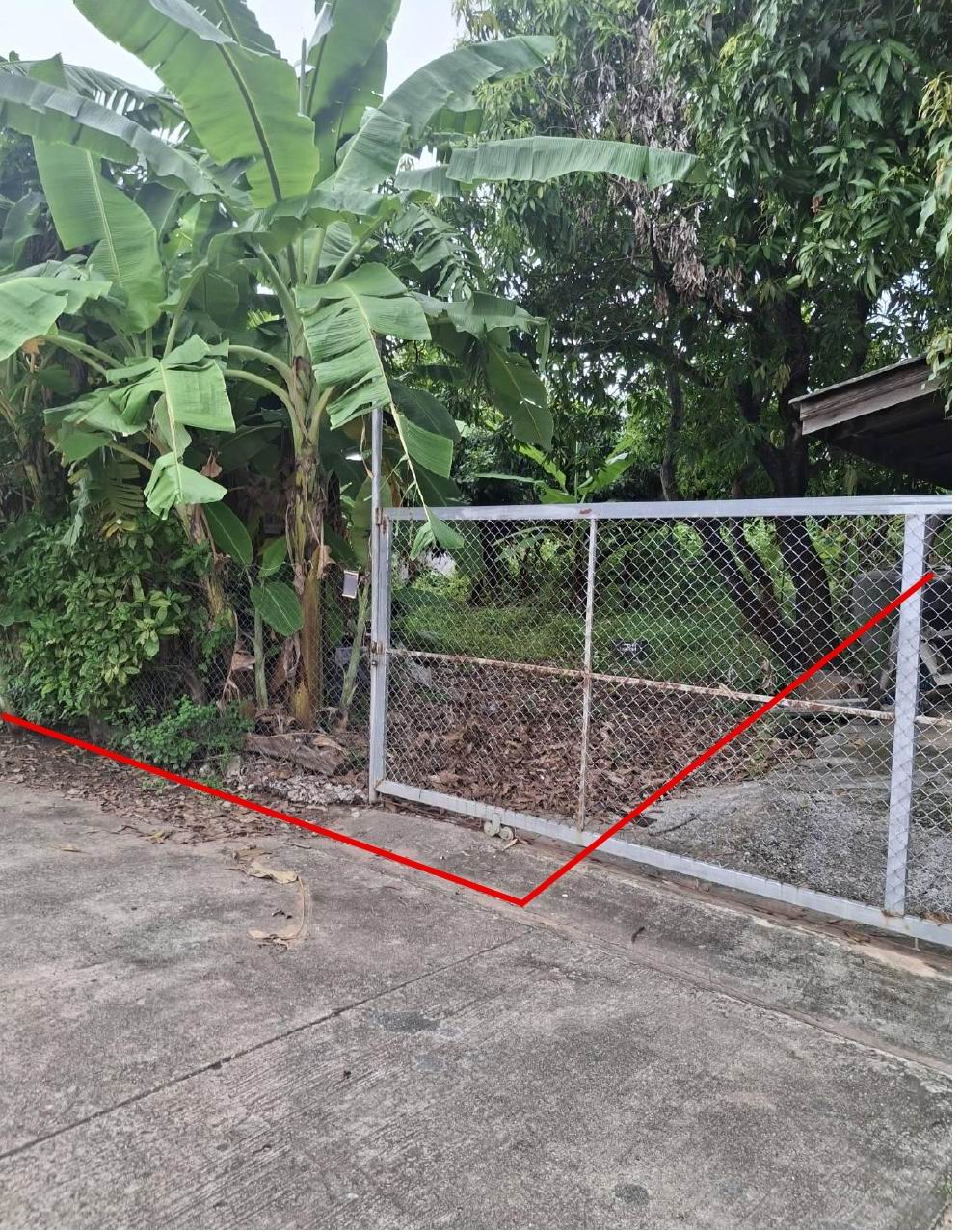 รูปที่ดินว่างเปล่า นาเสียว เมืองชัยภูมิ ชัยภูมิ