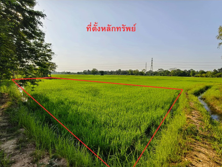 รูปที่ดินว่างเปล่า ยางตลาด ยางตลาด กาฬสินธุ์