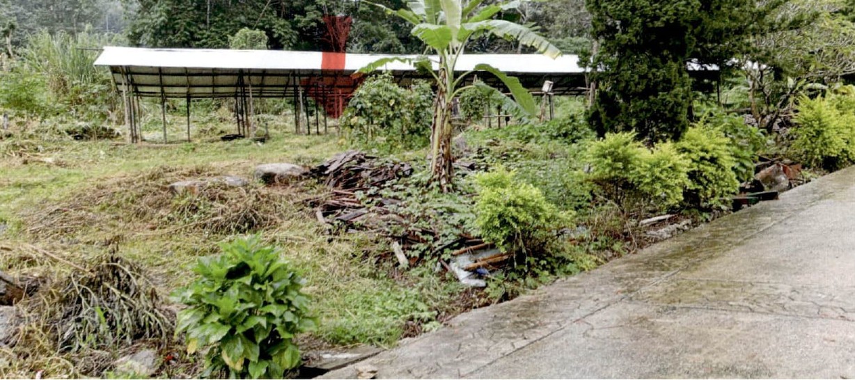 รูปที่ดินพร้อมสิ่งปลูกสร้าง บ้านปง หางดง เชียงใหม่