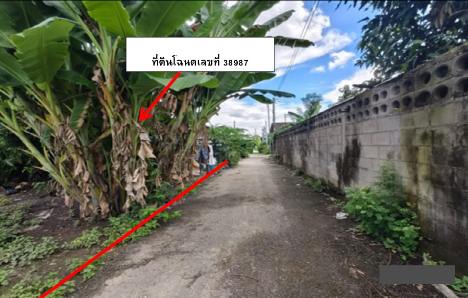 รูปที่ดินว่างเปล่า ท่าวังตาล สารภี เชียงใหม่