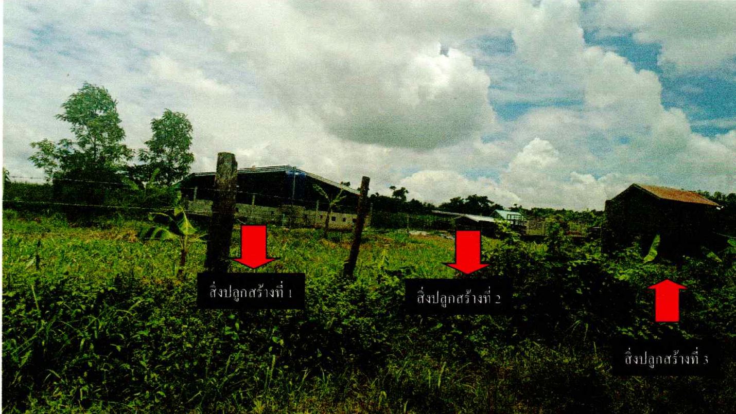 รูปที่ดินพร้อมสิ่งปลูกสร้าง ไชยวาน ไชยวาน อุดรธานี