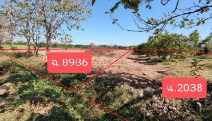 รูปที่ดินว่างเปล่า ท่าบัว โพทะเล พิจิตร