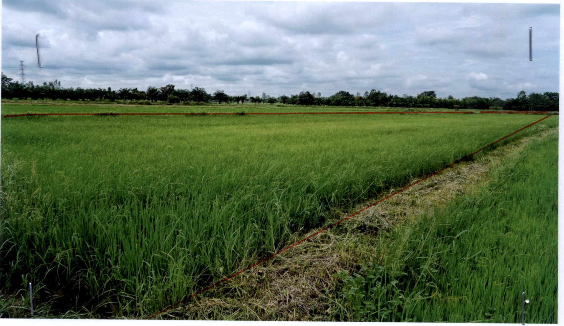รูปที่ดินว่างเปล่า เขาคีริส พรานกระต่าย กำแพงเพชร